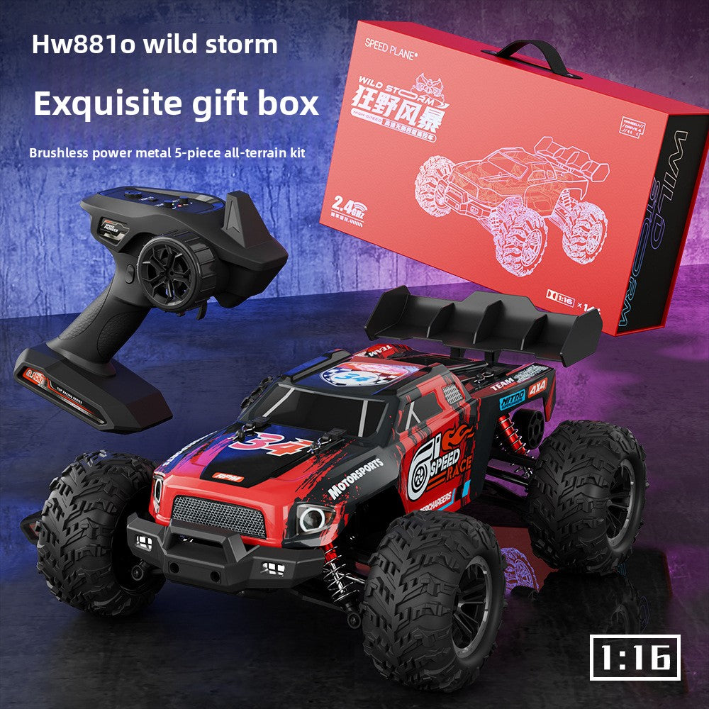 Professional RC Remote Control Car