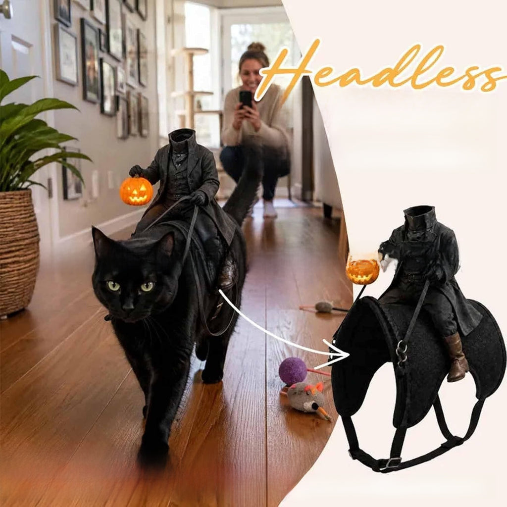 Cat decorative clothing