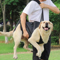 Adjustable Dog Support Harness for Elderly and Injured Pets