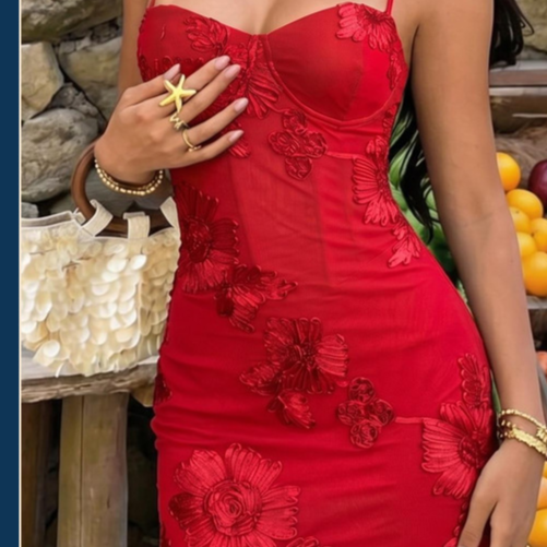 Embroidered Spaghetti Strap Bodycon Dress