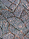 sequined figure-hugging evening gown