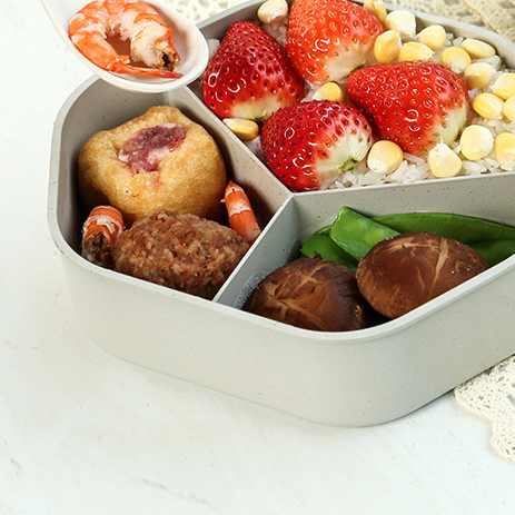 Heated lunch box - portable
