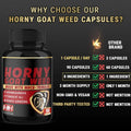 Goat Horn Capsules Goat Horn capsule