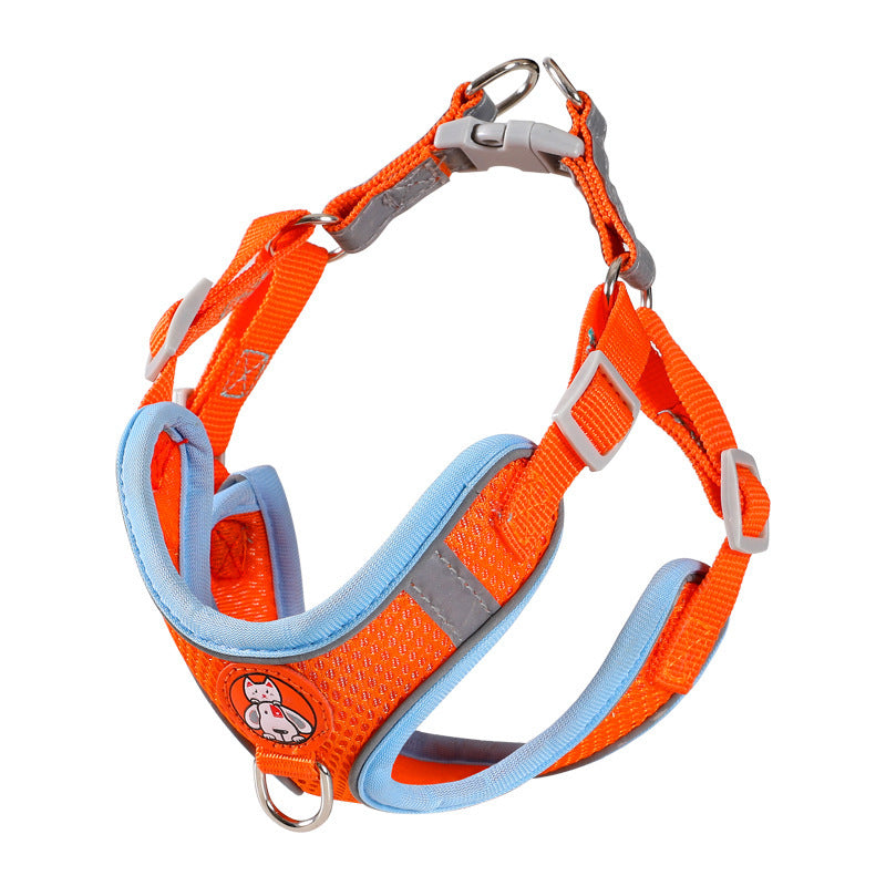 Dog Leash