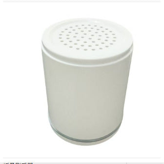 Pressurized Shower Head with Filter