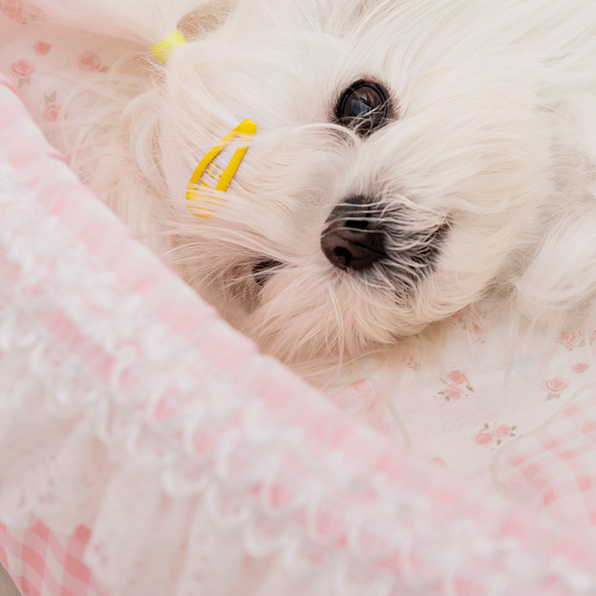 Removable Washable Pet Bed