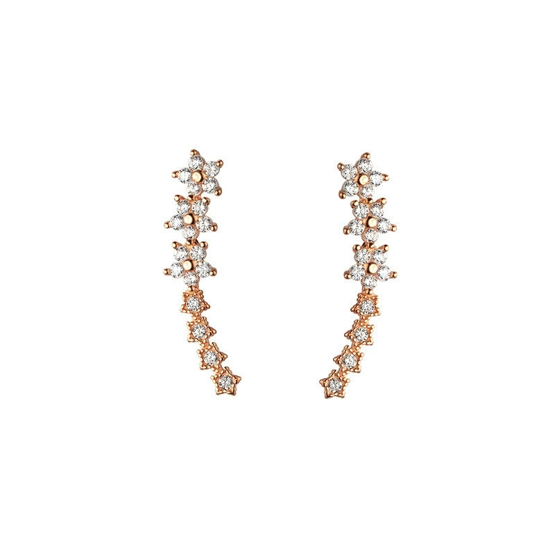 Zircon Studded Starry Sky Earrings