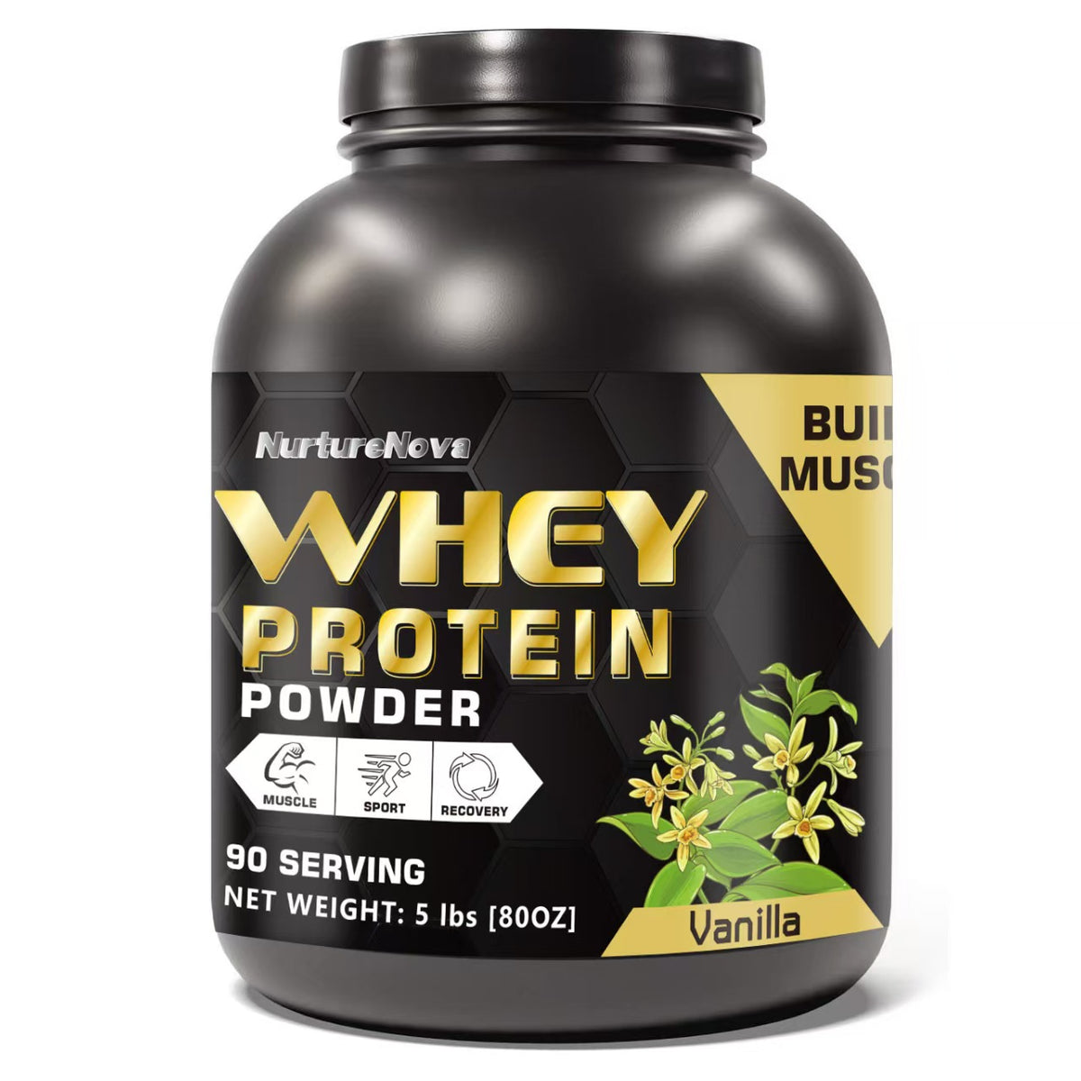 Fitness Whey Protein Powder