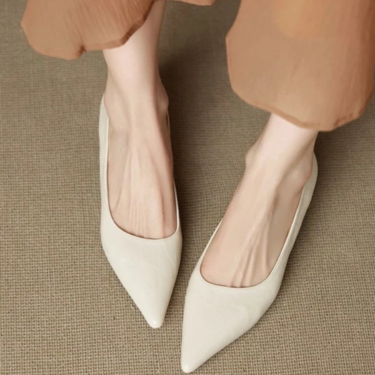 Elegant Pointed Toe Low Heel Shoes