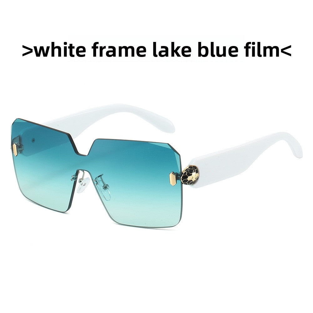 Women Fashion Square Sunglasses
