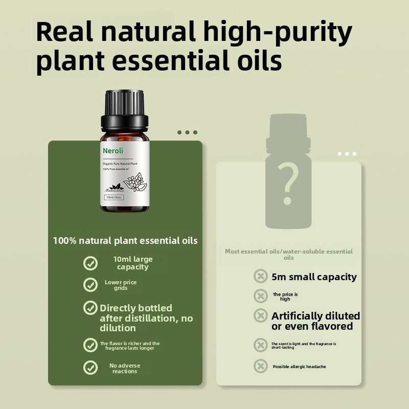 Plant Essential Oils for Aromatherapy and Car Fragrance