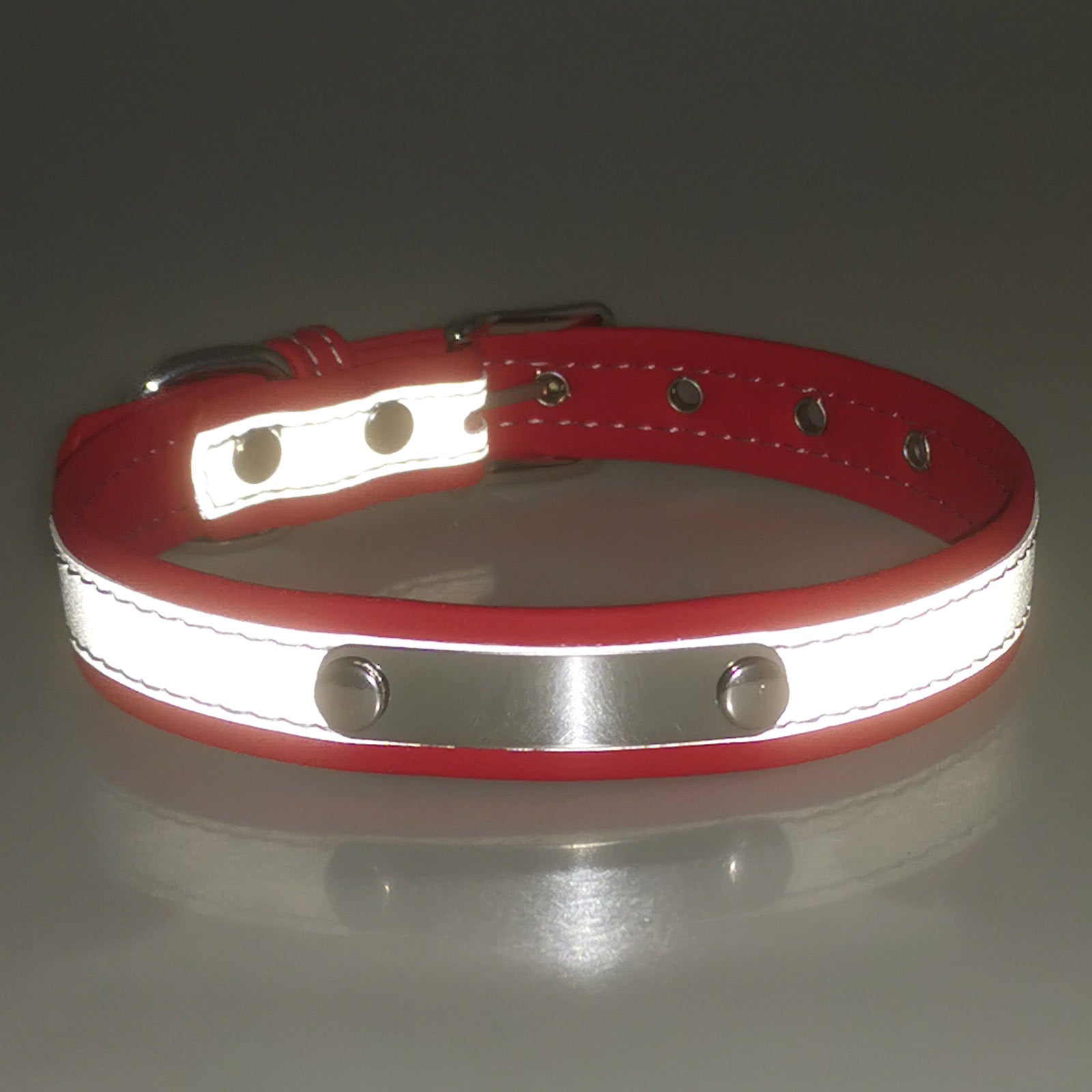 Stainless Steel Engraved Reflective Pet Collar with Leash