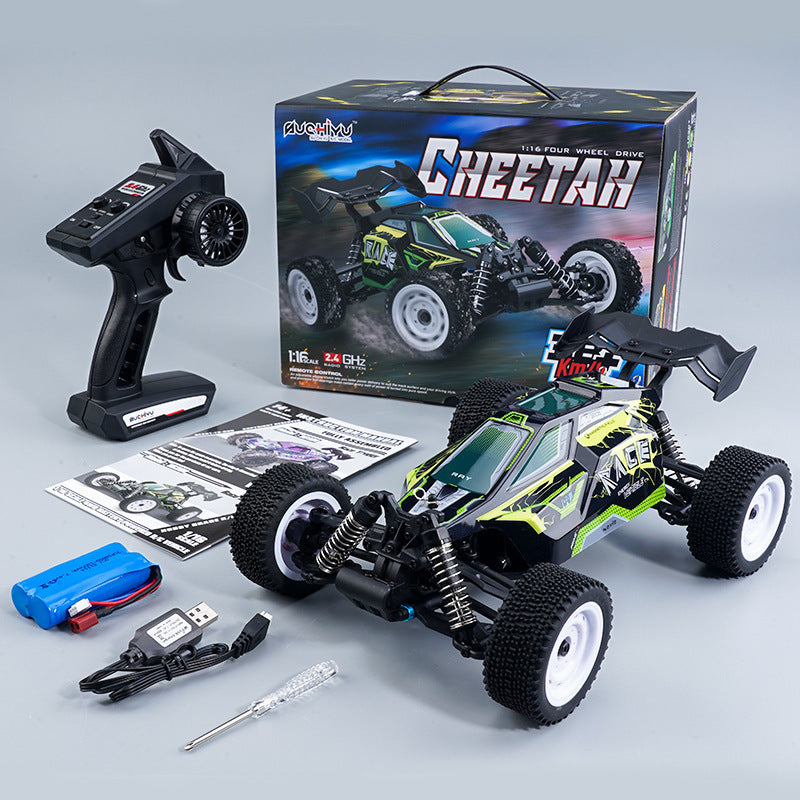 1:16 Scale RC Racing Car with Brushless Motor