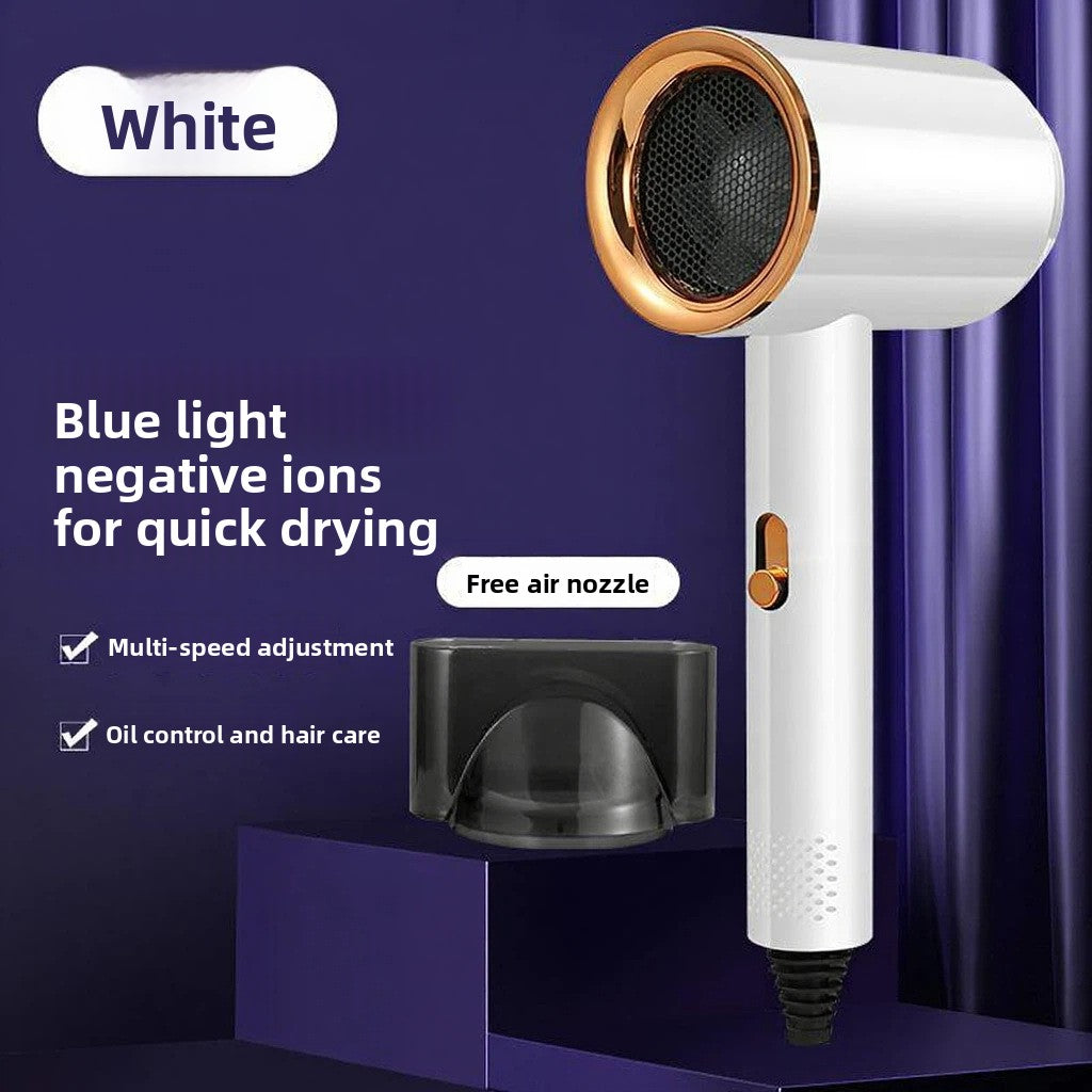 Professional Hair Dryer with Negative Ion Technology