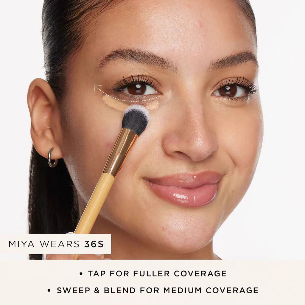Blotting sponge brush