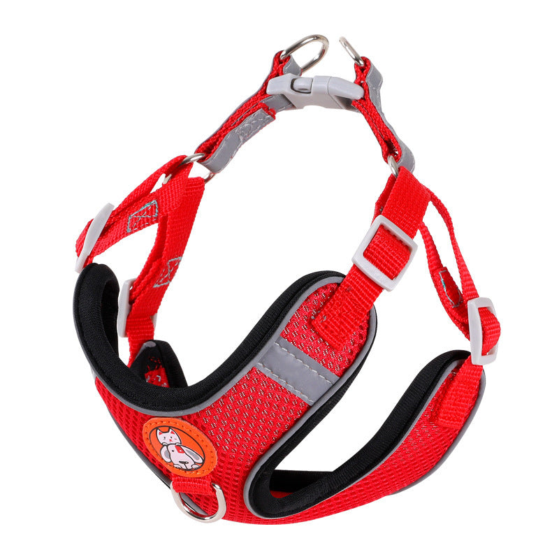Dog Leash