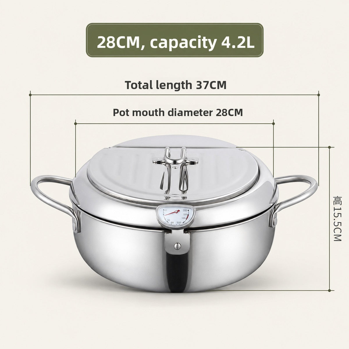 Multi-Functional Stainless Steel Fryer