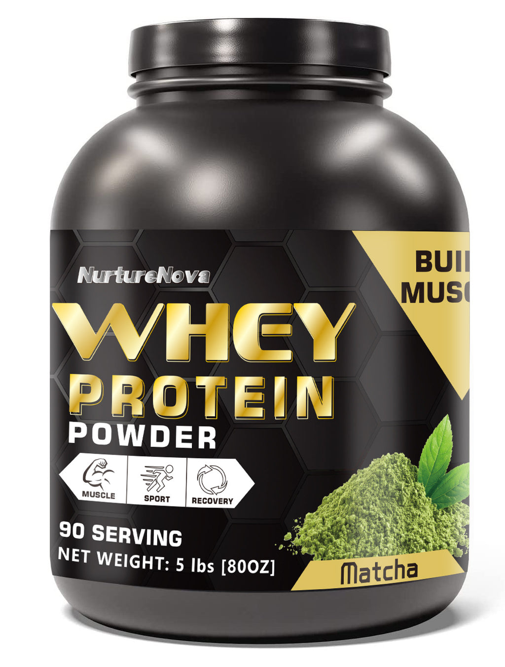 Whey Protein Powder 5Lbs Chocolate Strawberry Vanilla Matcha