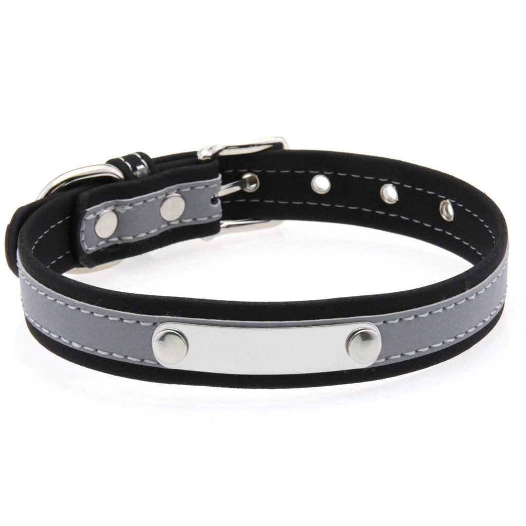Stainless Steel Engraved Reflective Pet Collar with Leash