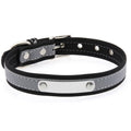 Stainless Steel Engraved Reflective Pet Collar with Leash