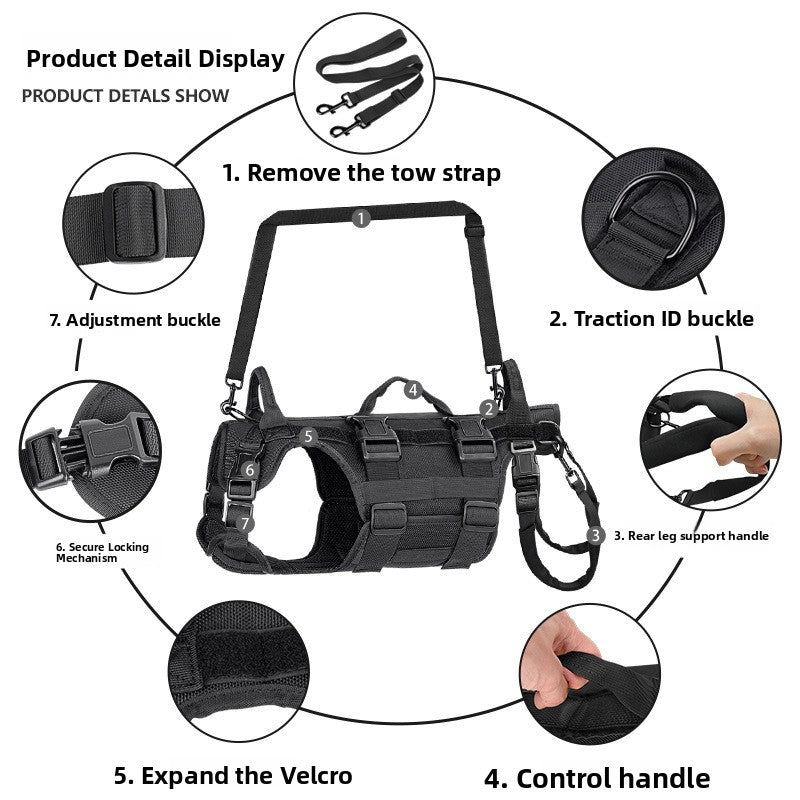 Dog support belt