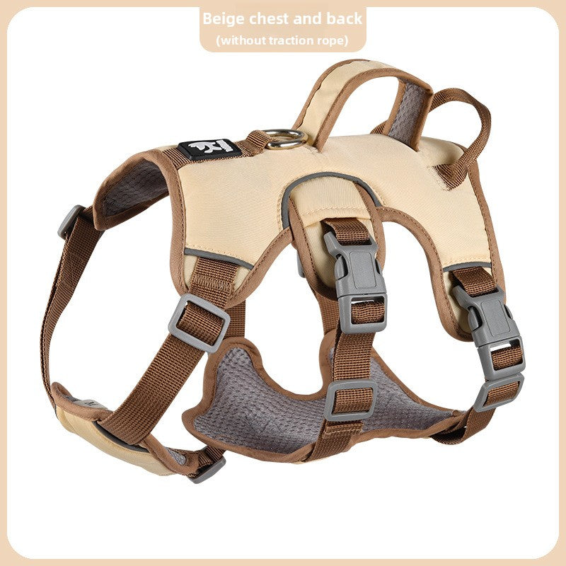 Pet leash