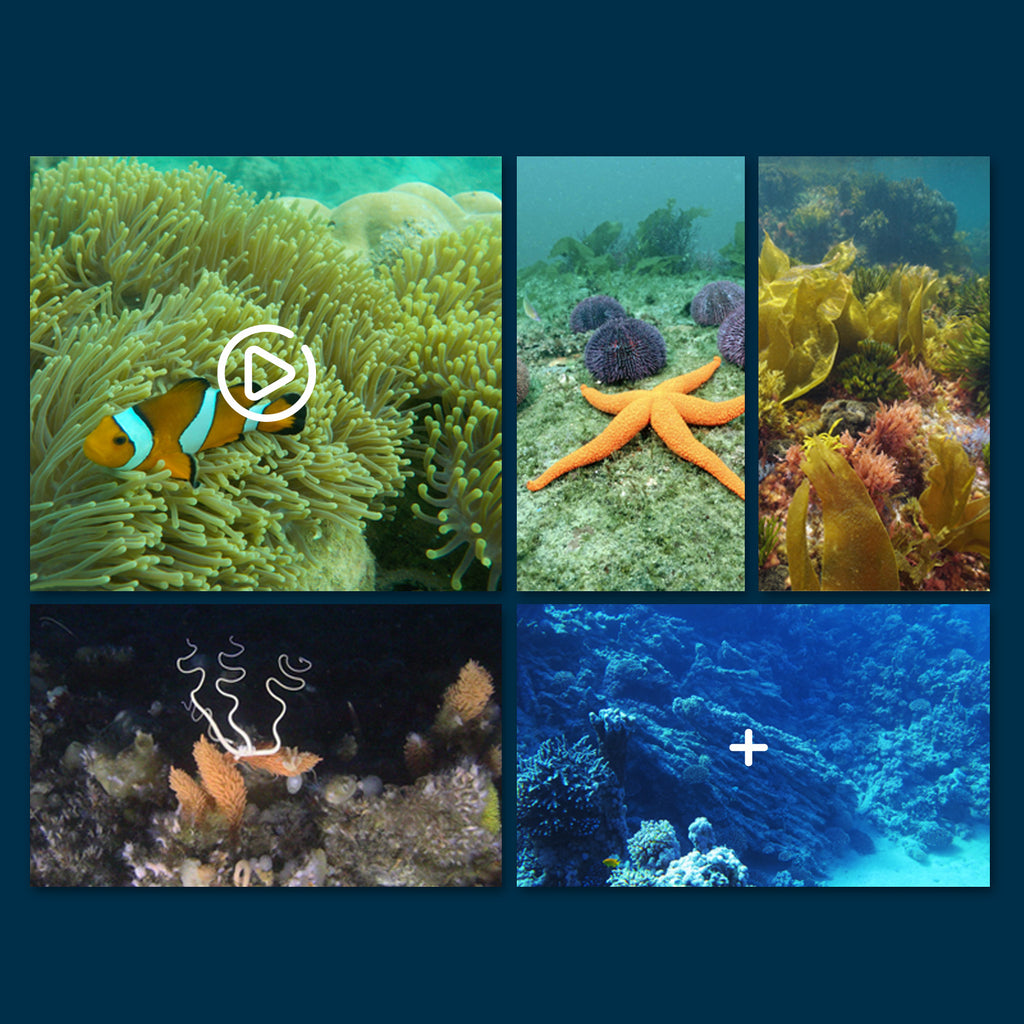 Wifi Remote Control Underwater Camera Boat