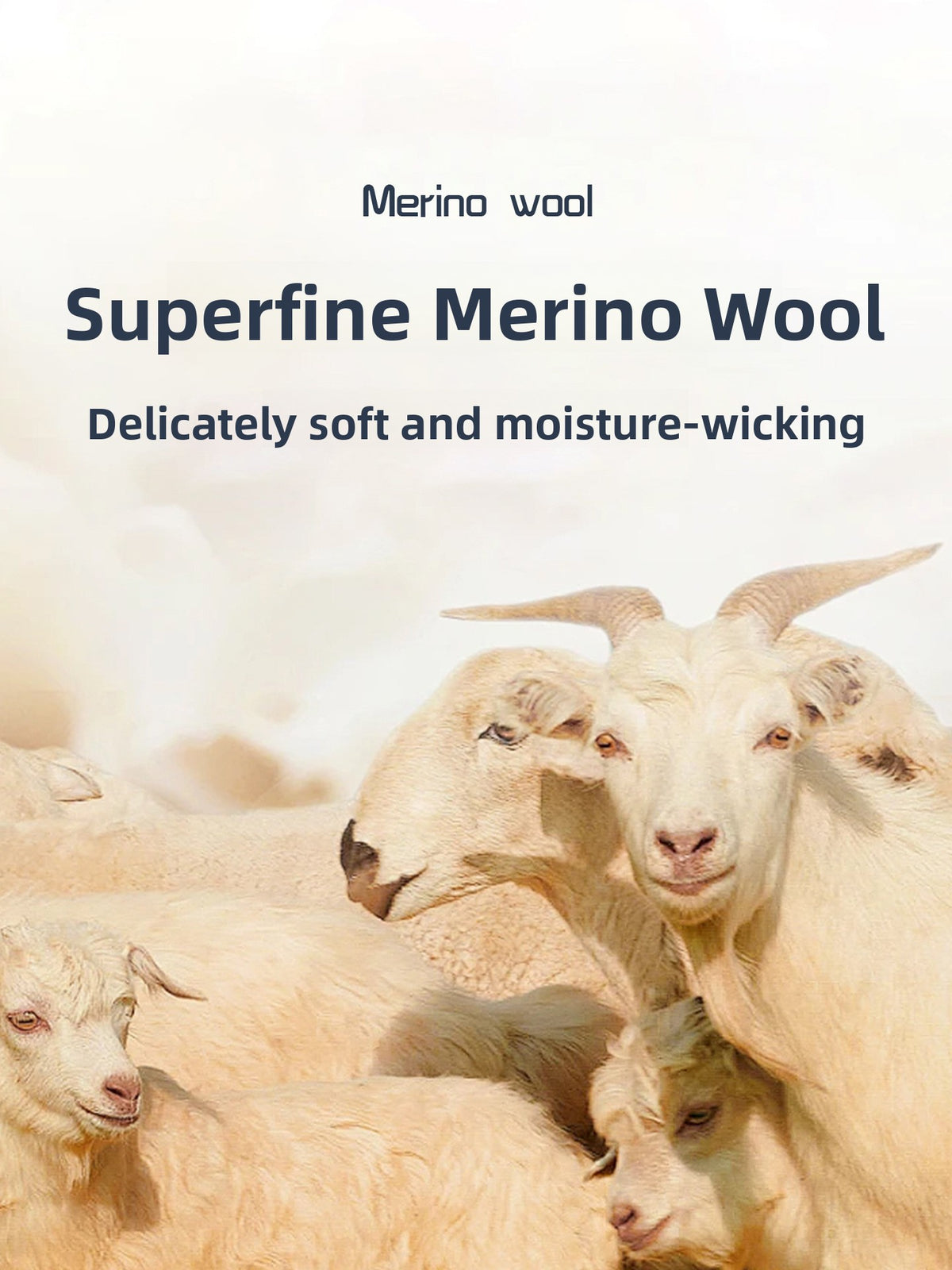 Merino Wool Long Sleeve Quick Dry Shirt