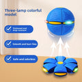 Automatic dog toy for dog walking
