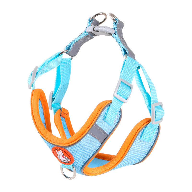 Dog Leash