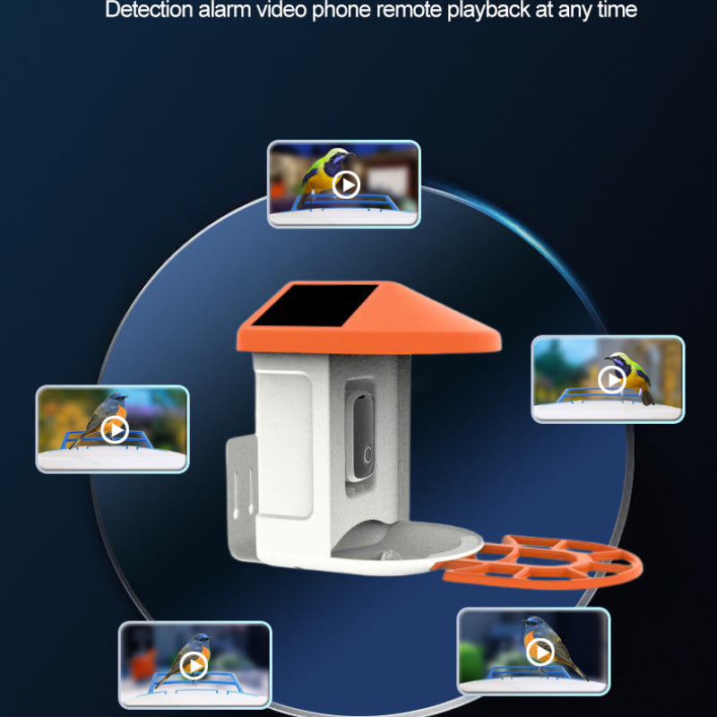 Solar AI Bird Feeder with Night Vision Camera