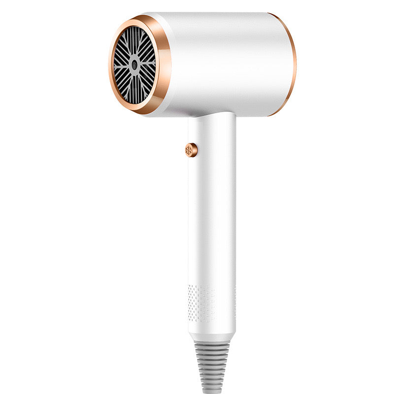 Professional Hair Dryer with Negative Ion Technology