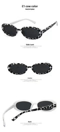 Fashionable sunglasses