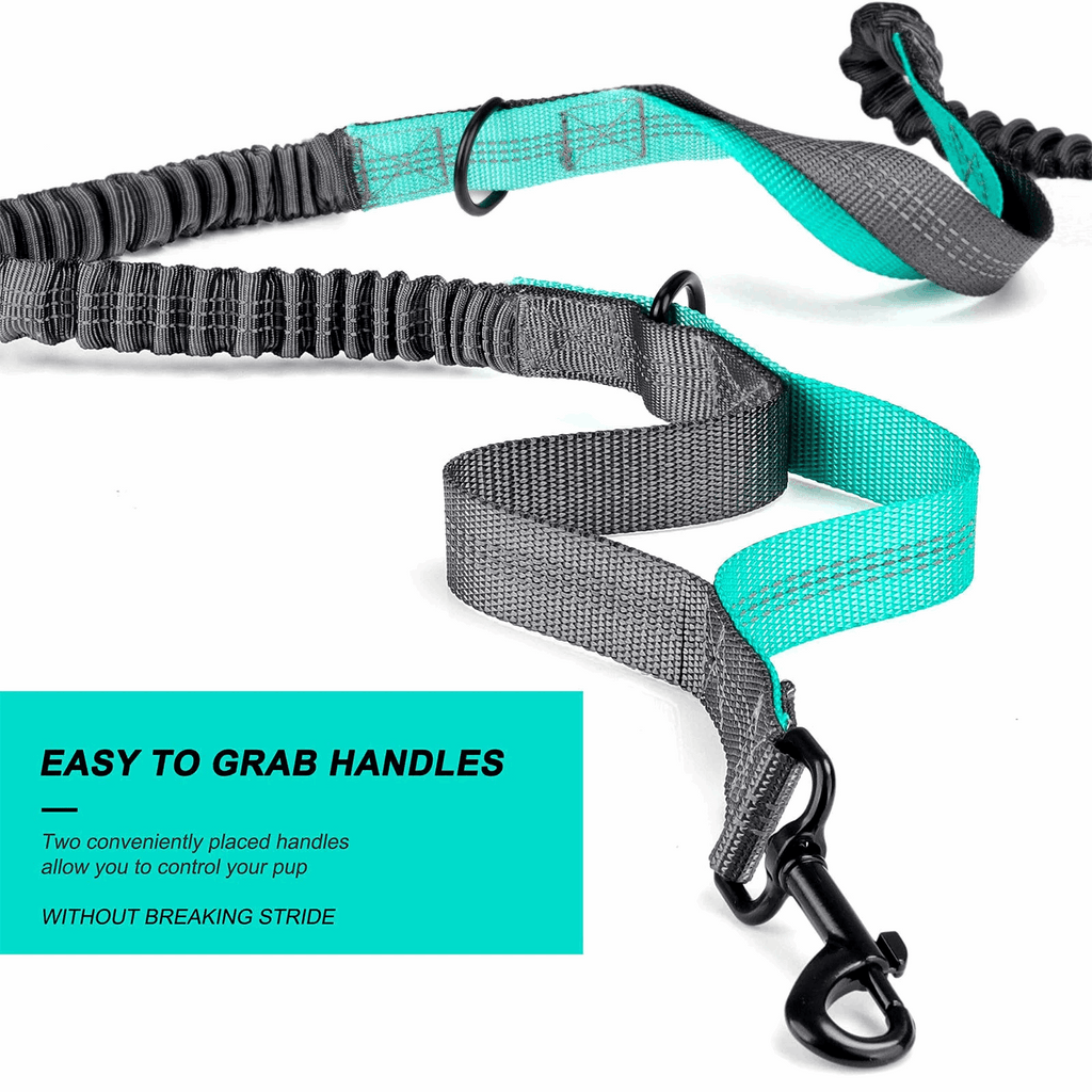 Dog Walking Waist Pack or Leash