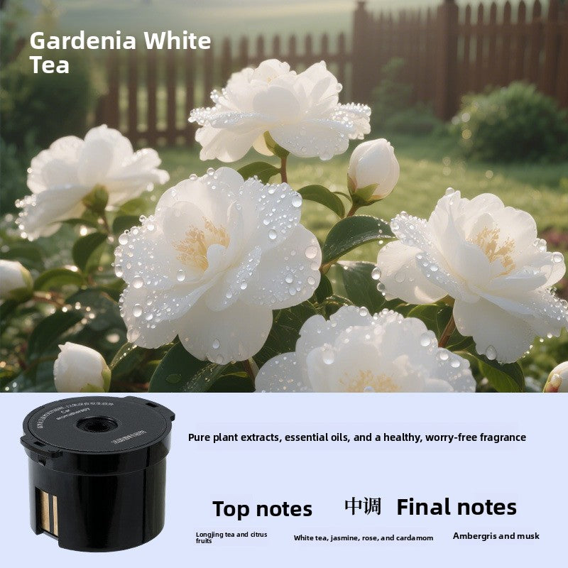 Fragrance Diffuser