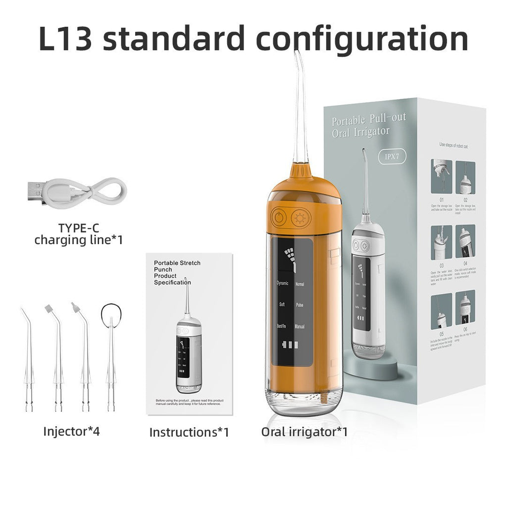 Electric Dental Scaler