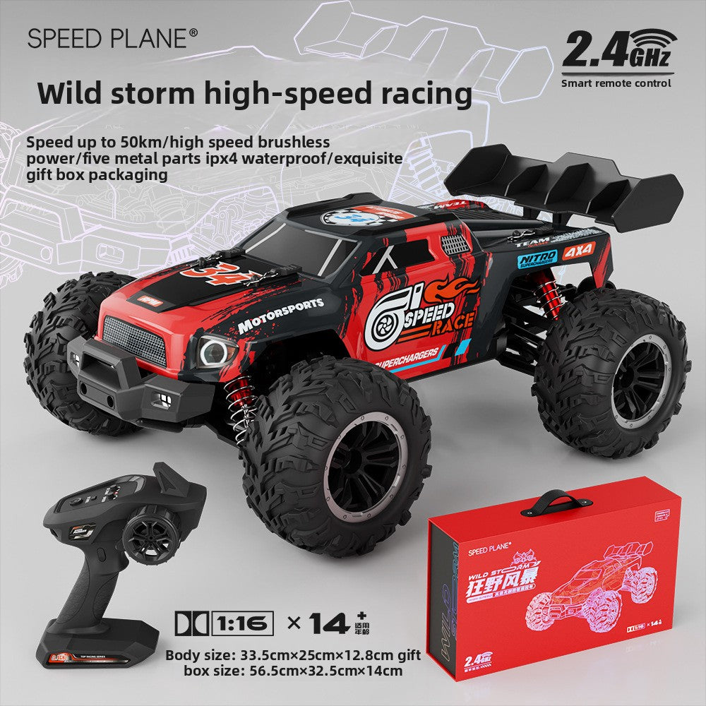 Professional RC Remote Control Car