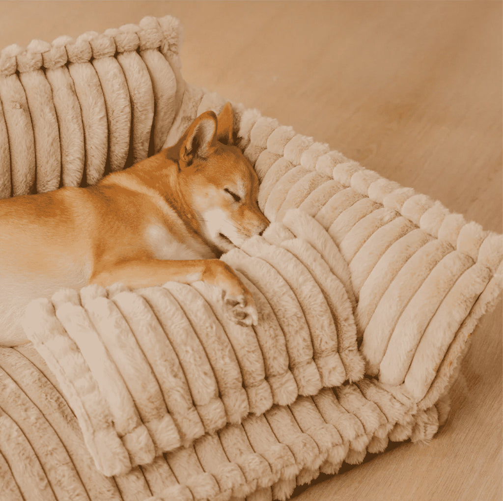 Pet bed pet supplies