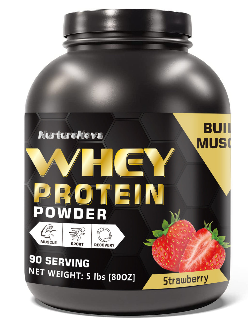 Whey Protein Powder 5Lbs Chocolate Strawberry Vanilla Matcha