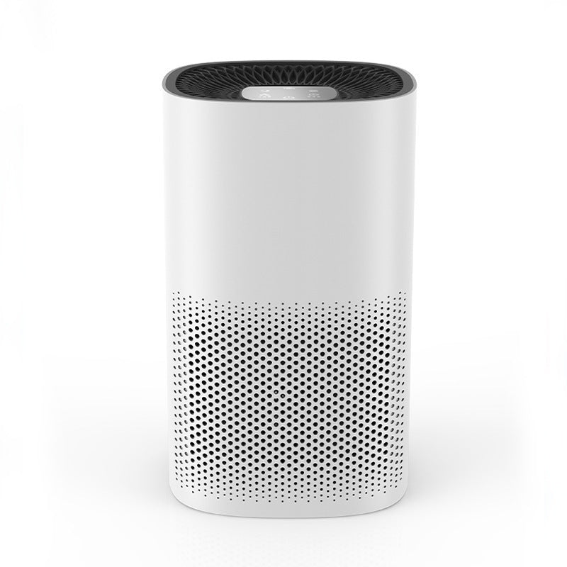 air cleaner