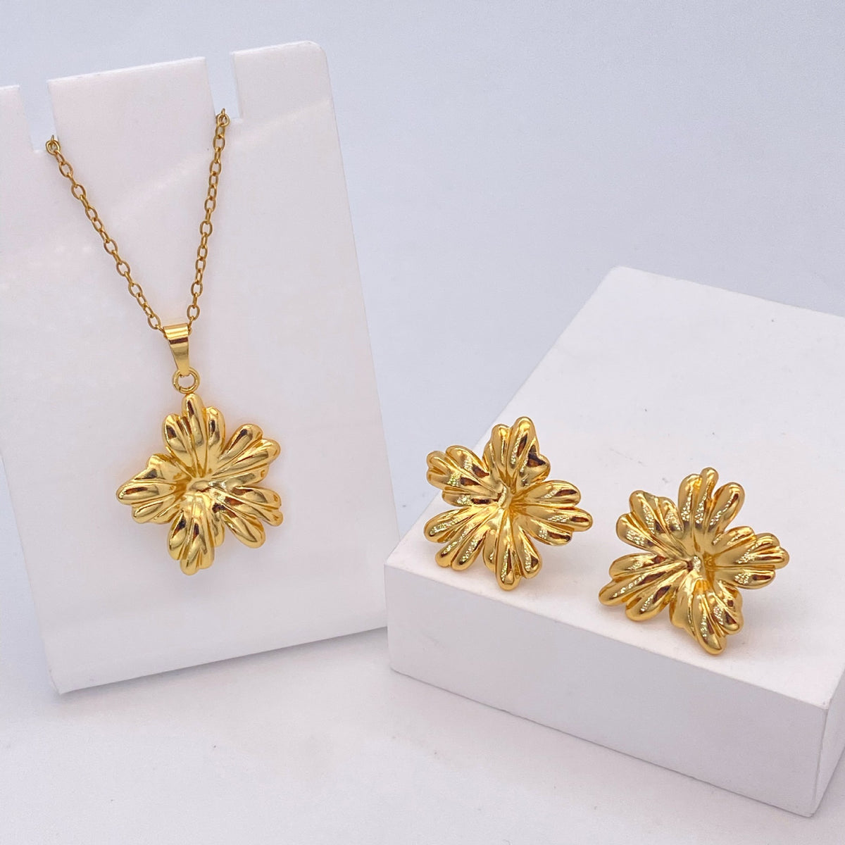 Stainless Steel Earrings and Necklace