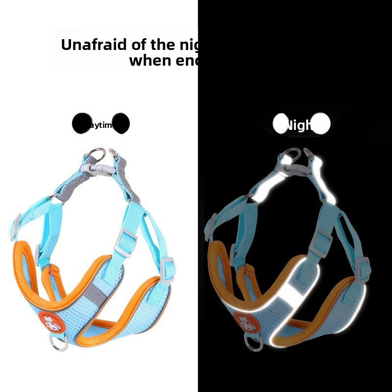 Dog Leash