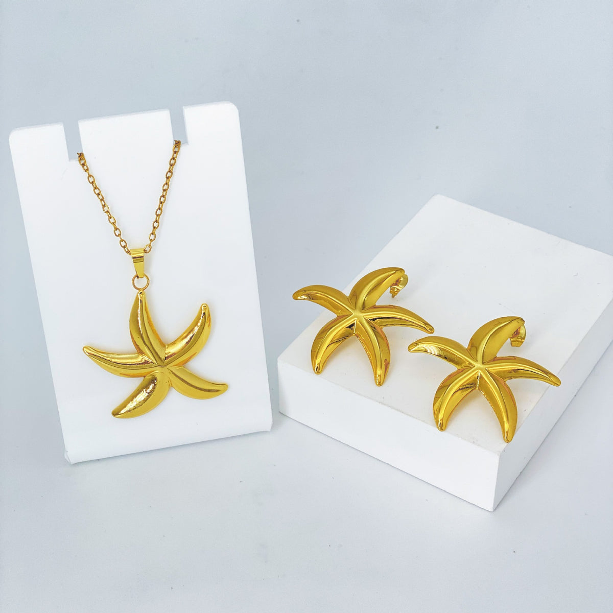 Stainless Steel Earrings and Necklace