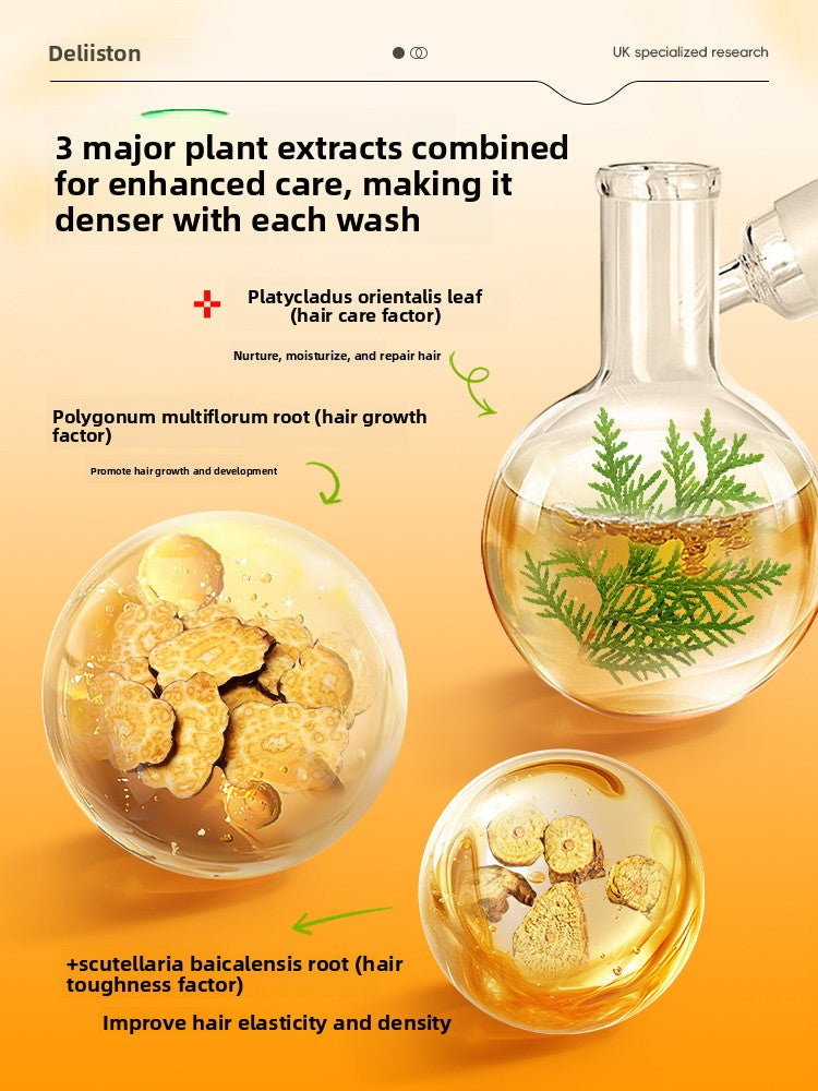 Dilishidun Ginger Anti-Hair Loss Shampoo