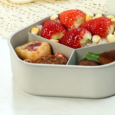 Heated lunch box - portable