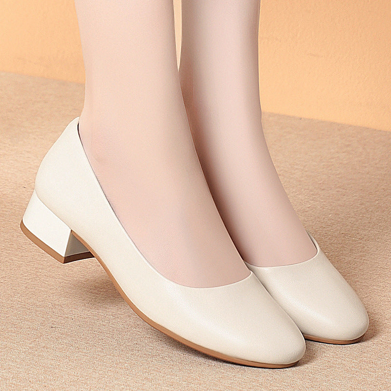 Womens Low Heel Professional Work Shoes