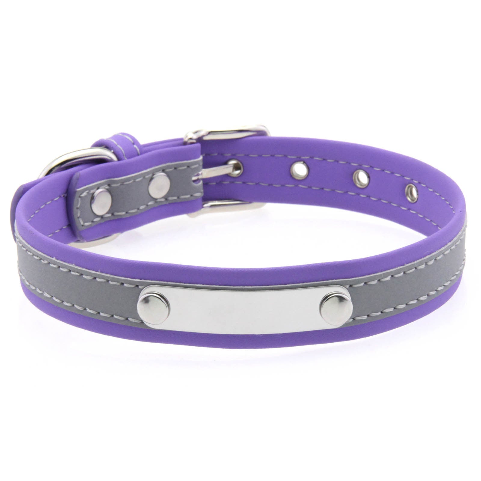 Stainless Steel Engraved Reflective Pet Collar with Leash