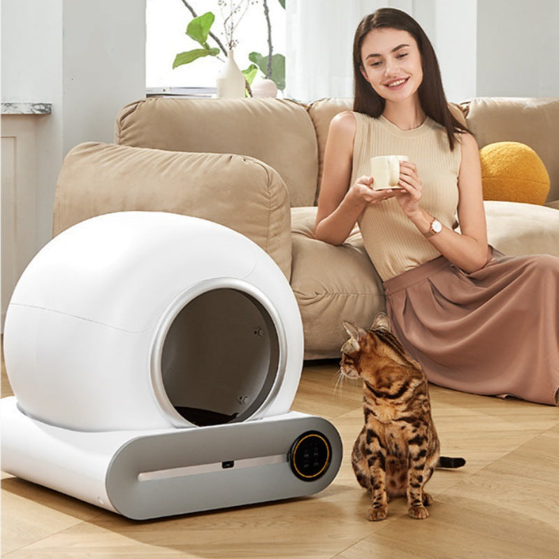 Smart cat litter box