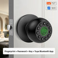 Fingerprint Password Bluetooth Smart Door Lock