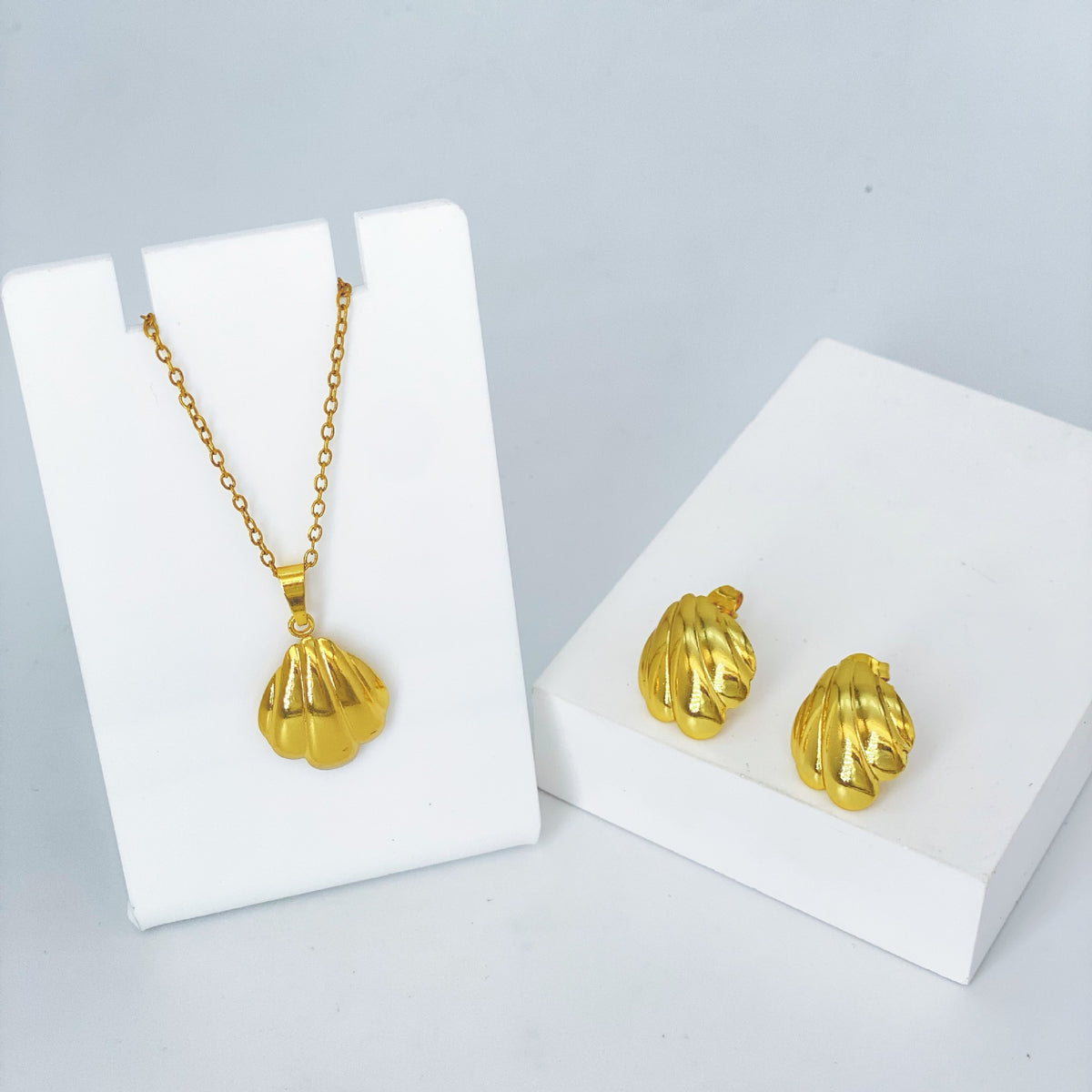 Stainless Steel Earrings and Necklace